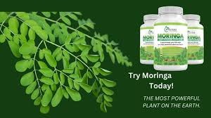 Moringa Magic